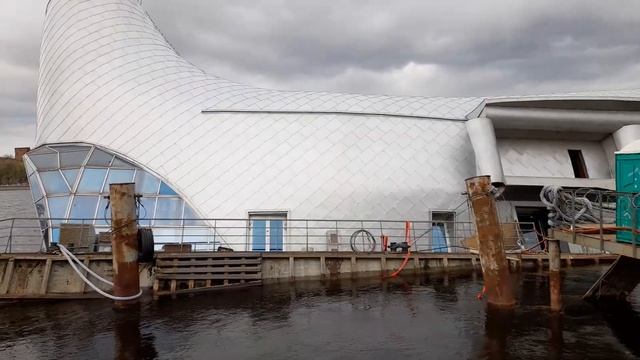 Санкт-Петербург. Серебряный кит (5.05.2023).