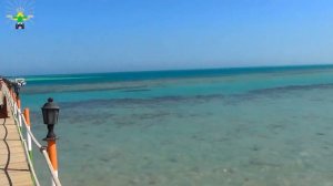 ❤ AMC ROYAL HOTEL Hurghada ❤ Отзывы об отеле AMC (амс роял) ❤ AZUR RESORT ❤ горящие путевки