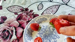 Сорта клубники Ания и Шарлотта