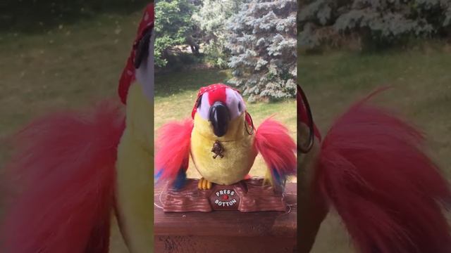 singing novelty bird