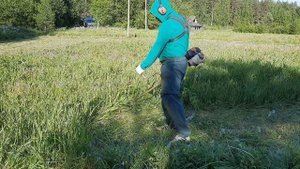 косим траву диском