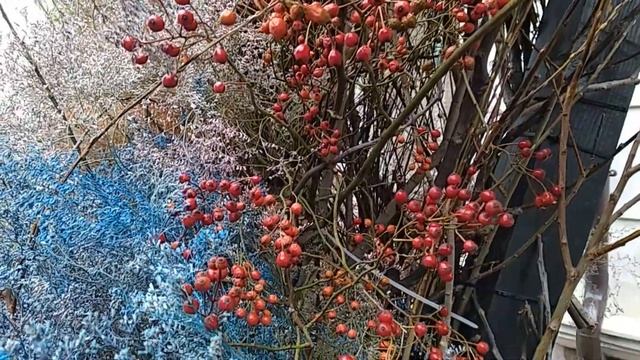 Композитор Виктор Горшков и мои завораживающие цветочные букеты. "Рапсодия" смотреть онлайн