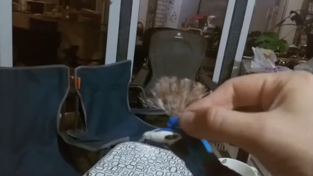 Поделка из природных осенних материалов - ПАВЛИН смотреть онлайн