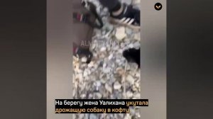 Мужчина весь изрезался льдом, но спас тонувшую собаку из озера