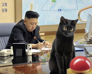 Ким Чен Псай. Ракеты в Гангнамстайл