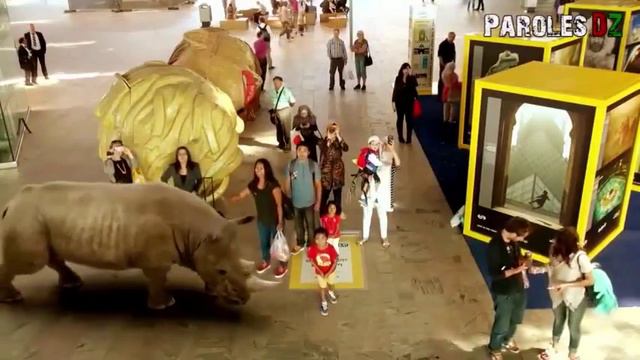 Классный Зоопарк смотреть онлайн