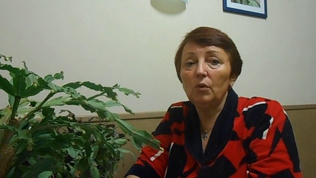 Декабрист в октябре смотреть онлайн