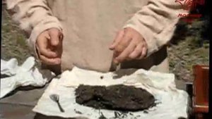 Определение качества чая Пуэра.