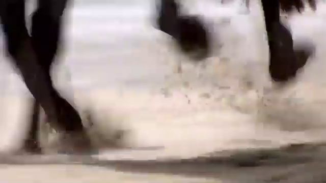 ОПАСНЫЕ ЗМЕЯ ЧЕРНАЯ МАМБА!!!!!