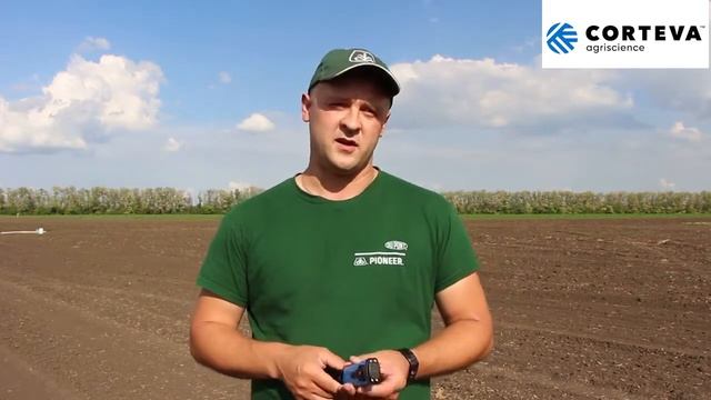 Что необходимо знать о подготовке к опрыскиванию? смотреть онлайн