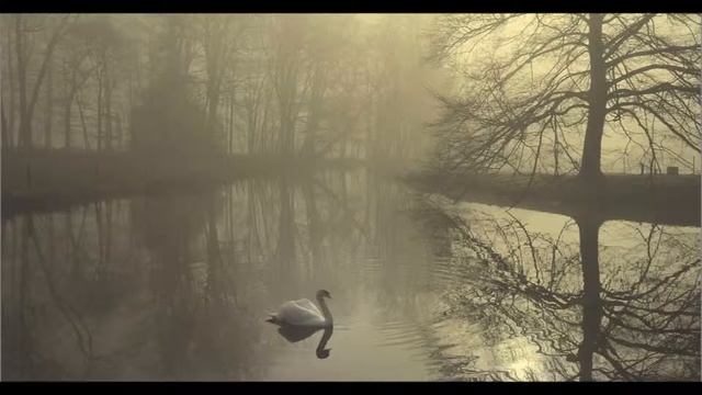 Людвиг Ван Бетховен - Мелодия слез смотреть онлайн