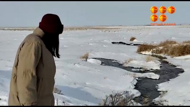 Опасаются экологической катастрофы смотреть онлайн