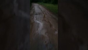 Вот такие у нас дороги в Заозерье Кингисеппский район ЛО