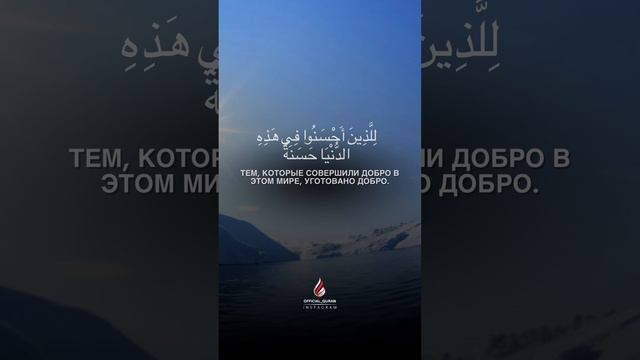 Сура: Аз Зумар красивое чтение #коран #quran