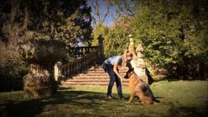 Дрессировка собаки: Команды сидеть, стоять лежать