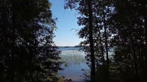 Разведка нового озера. Озеро ГЛУБОКОЕ. Грибалка. Ленинградская область.