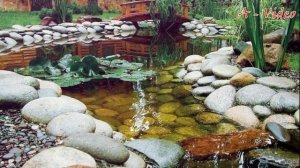 ?Двор частного дома Идеи для благоустройства / Ideas for a suburban area / A - Video