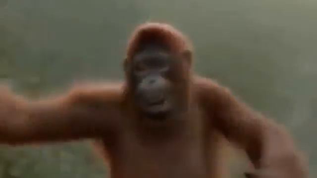 Песня про субботу:) смотреть онлайн