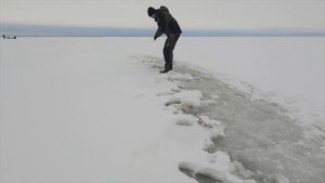 Корюшка на финском заливе