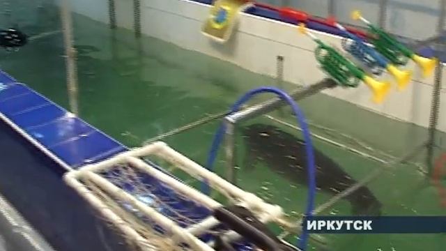 Нерпинарий смотреть онлайн