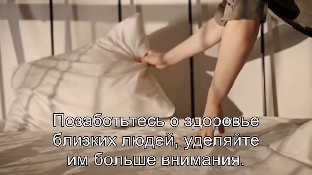 К чему снится Енот? Толкование сна по сонникам Ванги и Хассе