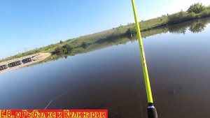 Карась на бамбуковую удочку из СССР, КЛЮЕТ КАК ИЗ ПУЛЕМЕТА. Ловим карася на удочки и донки.