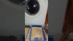 стиральная машина, Бош не может разложить белье.