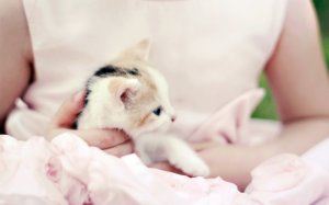 Нежное мгновение