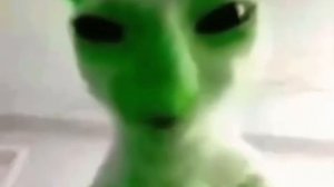 zib zib zib zib