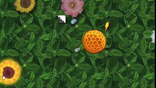 Любимые Бабочки - как гулять с бабочкой смотреть онлайн