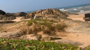 Шри Ланка. Пляж Taj Bentota Resort &Spa