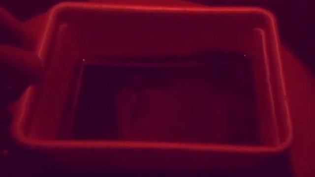 Фотосъёмка на фотобумагу с обращением. смотреть онлайн