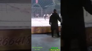 ДИКИЙ УЖАС В ЦИРКЕ