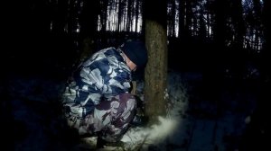 Охота на лису капканами. Установка гуманного капкана на лису