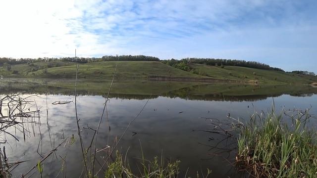 КАРАСИ ЛАПТИ из-под ЗАТОПЛЕНОГО ДЕРЕВА. Карась на удочку. Рыбалка на поплавок.