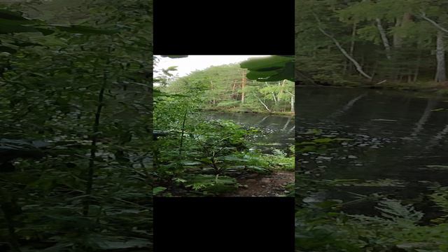 Потаённые места