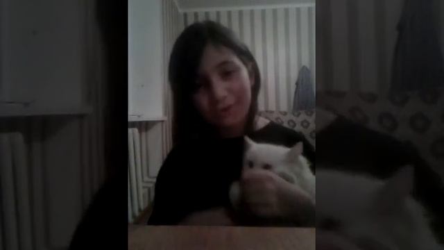 Моя турецкая ангора 4 факта о ней и что такое турецкая ангора объясняю и всем няфааа смотреть онлайн