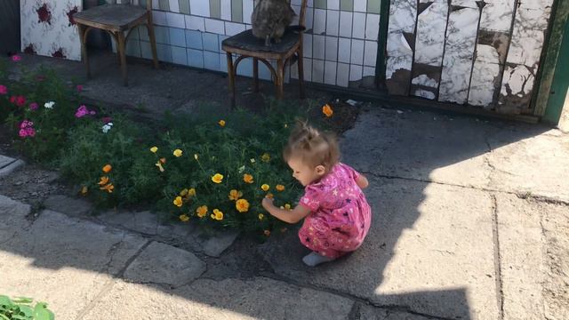 Отправили к неврологу. Не знаю куда девать огурцы. Выкопала чеснок.