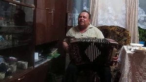 Через две зимы под гармошку
