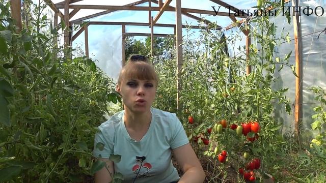 Почему НЕ КРАСНЕЮТ ТОМАТЫ и как РЕШИТЬ ЭТУ ПРОБЛЕМУ! смотреть онлайн