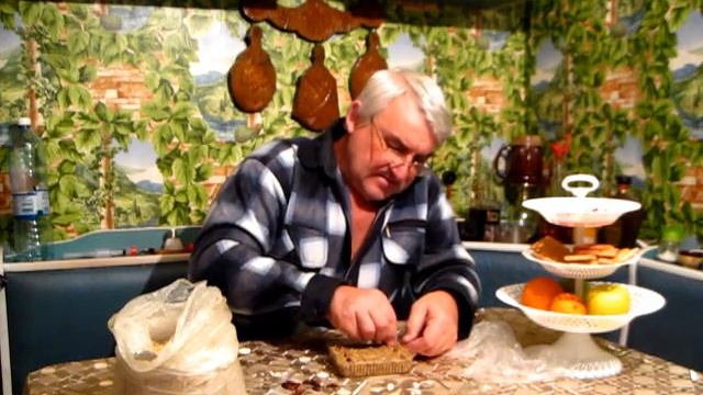 Как ПРОРАСТИТЬ косточки ФИНИКОВ в древесных опилках