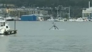 Кто Такой Сиреноголовый Откуда Он Появился История Сиреноголового