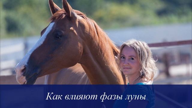 Как влияют фазы луны. Елена Петрова-Осинникова