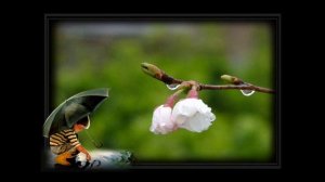 О чем размышляет мужчина которому за 50