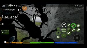 муравьи игра