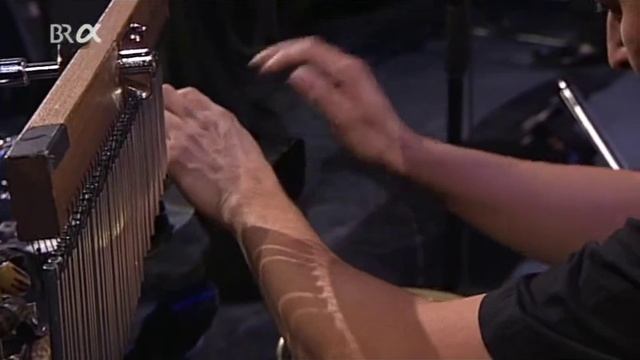 Richard Galliano & Sébastien Surel - Chat pitre смотреть онлайн