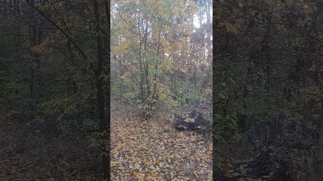 Уповай ты на Господа Бога,и почаще молися в тиши; и утихнет на сердце тревога,и,получишь покой для смотреть онлайн