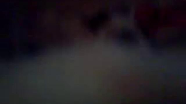 Котенок породы турецкой ангоры родился с раздвоеным носики и по форме  смотрится как сердечко