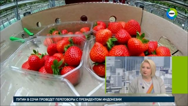 Секреты правильного выбора сезонных ягод и фруктов. смотреть онлайн