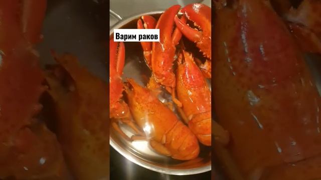 Варим раков #раки #крабы #омары #деликатес